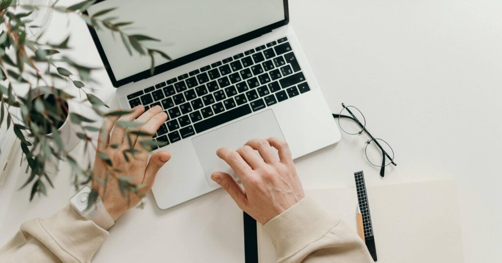 laptop plant and hands typing on laptop